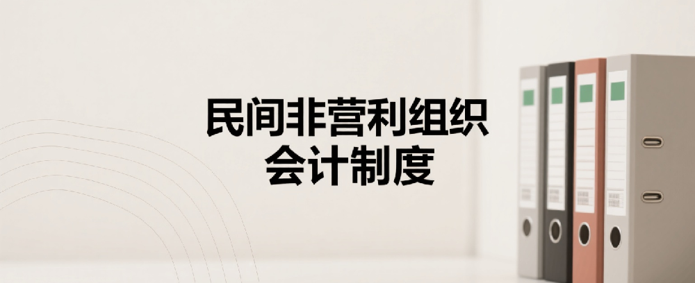 《民间非营利组织会计制度》- 会计科目和会计报表 - 会计报表附注